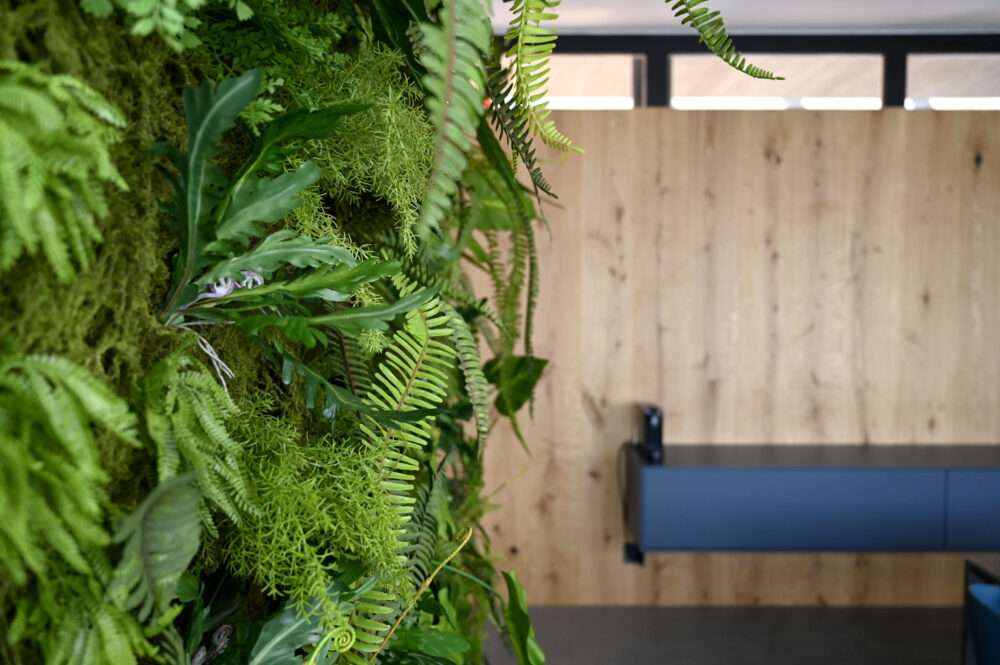 Photographie immobilière bureau d'architecture – Sion | Ozalid Studio